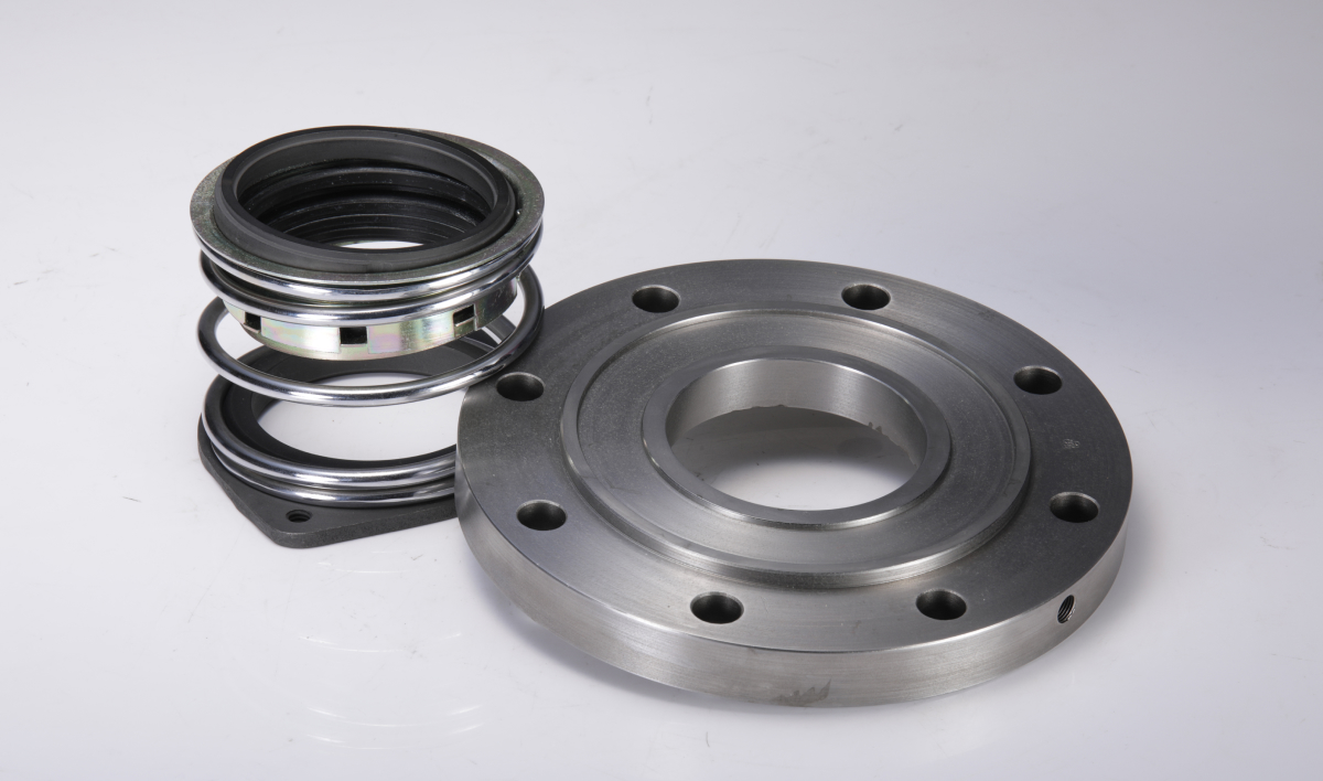 Hasegawa Shaft seal & Slide Ring