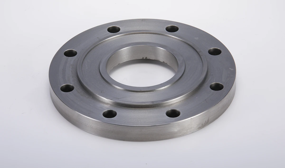 HASEGAWA COVER SHAFT SEAL